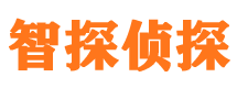 西峡市出轨取证